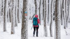 Hóra hangolt hétvégi túrák