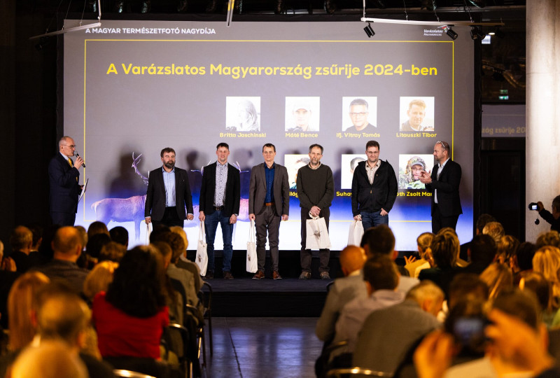 A Varázslatos Magyarország zsűrije
