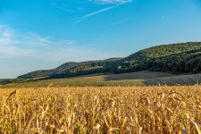 A Zuppa, a Lófingató és a Somlyó, avagy a Déli-Gerecse panorámás magaslatai