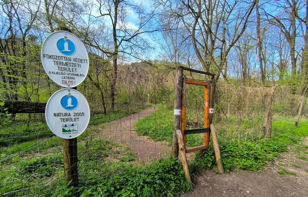 Szigorú szabályokkal létesült új kísérleti turistaút a Szénásoknál