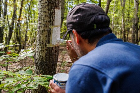 Turistaút Híradó 8. rész