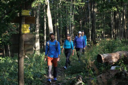 Hamarosan indulnak az új túravezetői tanfolyamok
