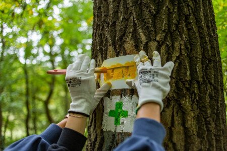 Idén több mint ezer km-en újultak meg a turistajelzések