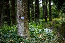 Kéktúrázás Fejér vármegyében