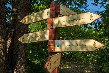 Módosult a Naszály környéki turistaút-hálózat