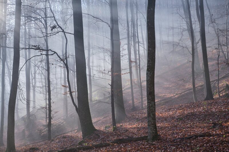Őszi képek a Bükkből