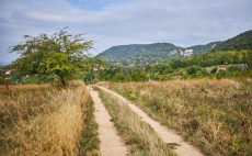 Szőlők és szép kilátások  – Túra a Móri borvidéken