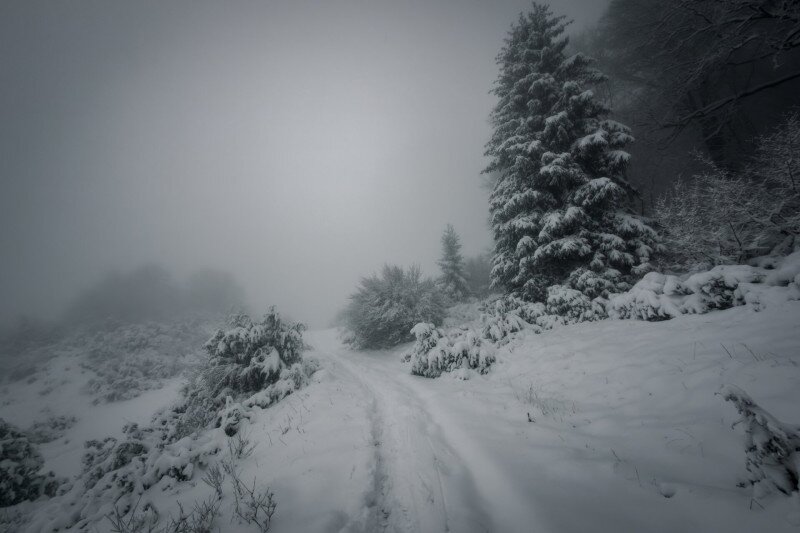 Tél a Bükkben, hóban, ködben