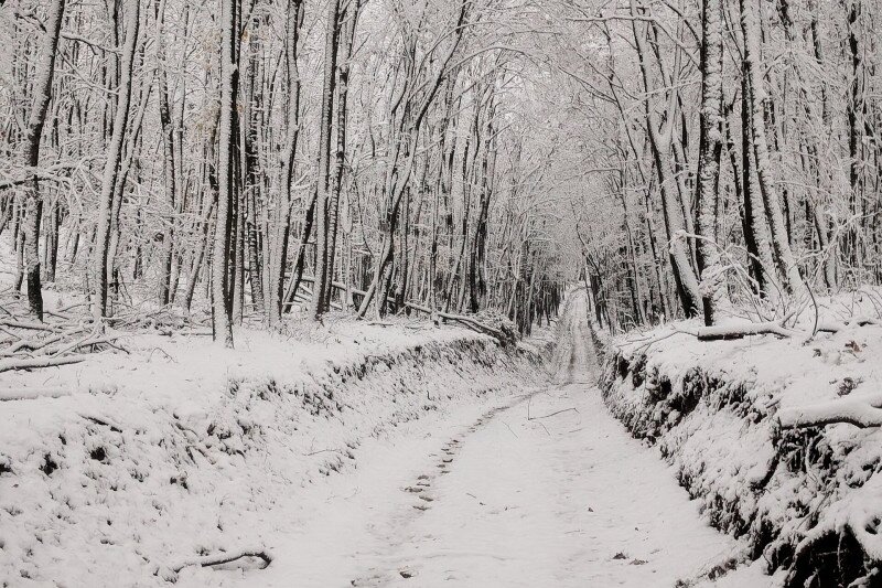 Tél Szekszárdon, hóban, Sötét-völgyben