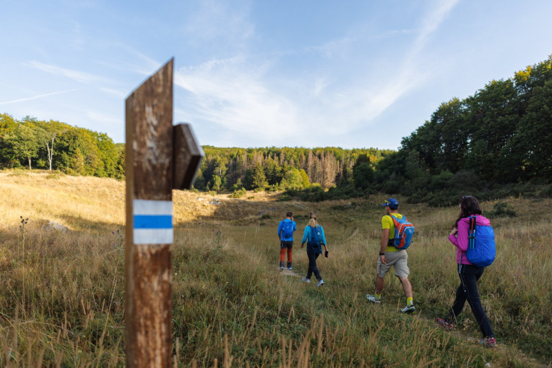 Túrázók a Bükkben, a Zsidó-réten